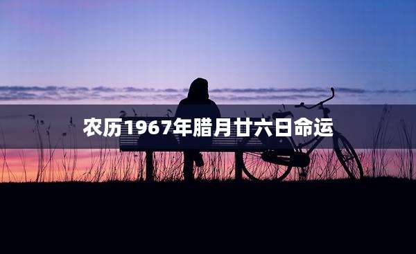 农历1967年腊月廿六日命运