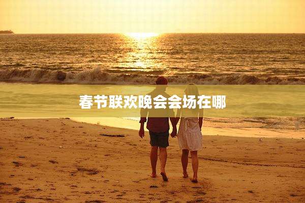 春节联欢晚会会场在哪