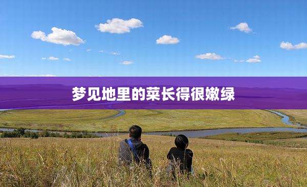 梦见地里的菜长得很嫩绿