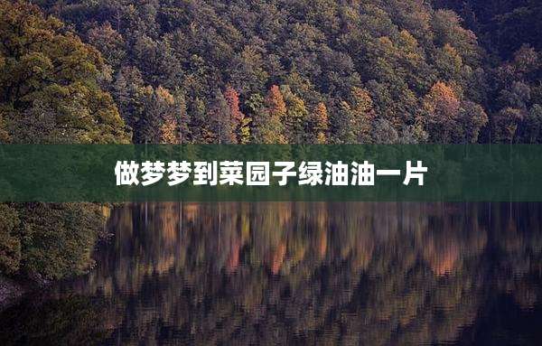 做梦梦到菜园子绿油油一片