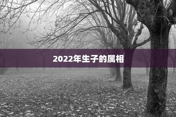 2022年生子的属相