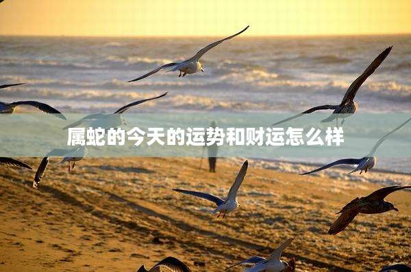 属蛇的今天的运势和财运怎么样