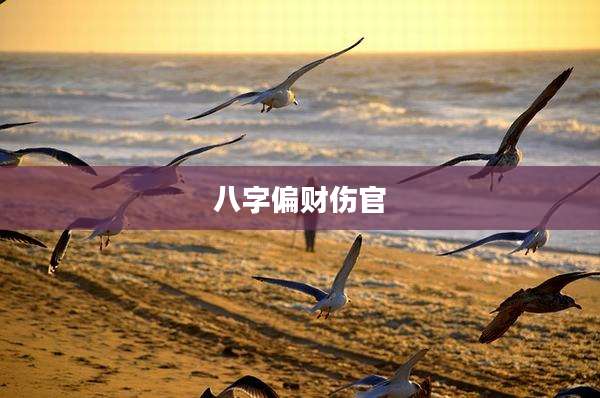 八字偏财伤官