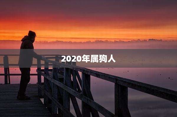 2020年属狗人