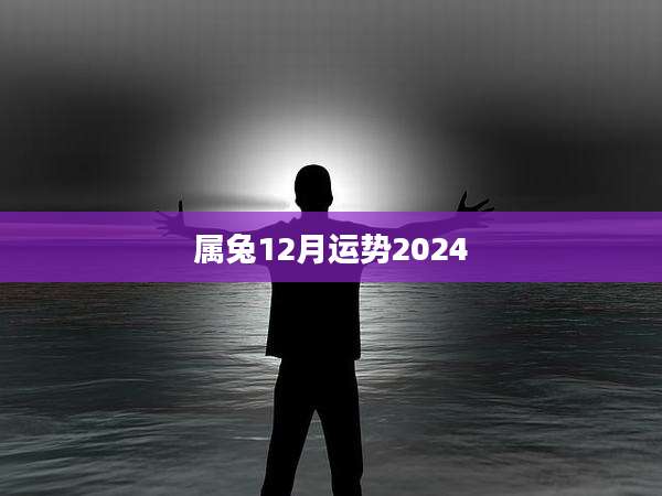 属兔12月运势2024