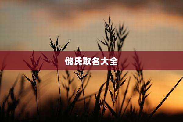 储氏取名大全