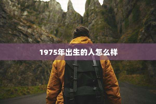 1975年出生的人怎么样
