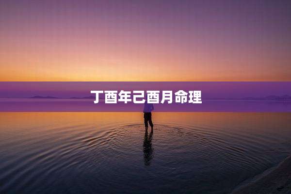 丁酉年己酉月命理