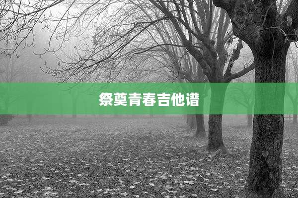 祭奠青春吉他谱