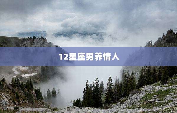 12星座男养情人