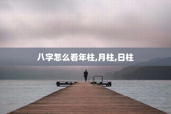 八字怎么看年柱,月柱,日柱
