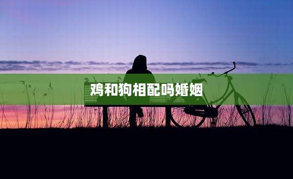 鸡和狗相配吗婚姻