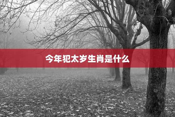 今年犯太岁生肖是什么