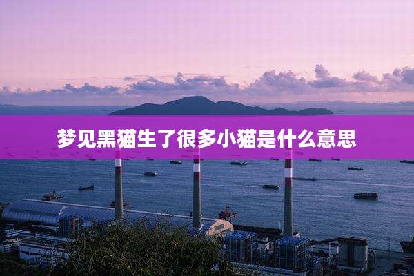 梦见黑猫生了很多小猫是什么意思