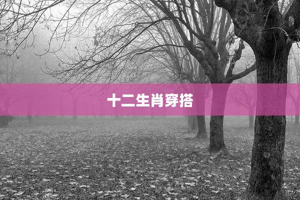 十二生肖穿搭