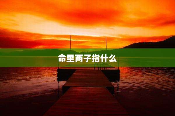 命里两子指什么