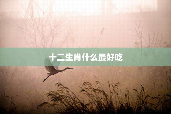 十二生肖什么最好吃