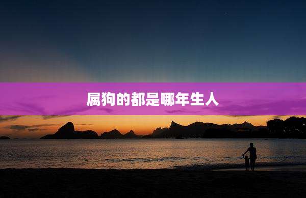 属狗的都是哪年生人