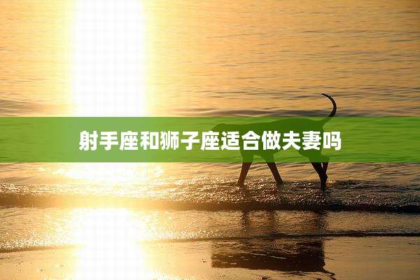 射手座和狮子座适合做夫妻吗
