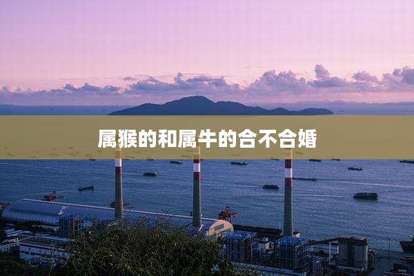 属猴的和属牛的合不合婚