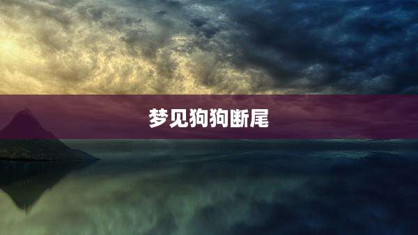 梦见狗狗断尾