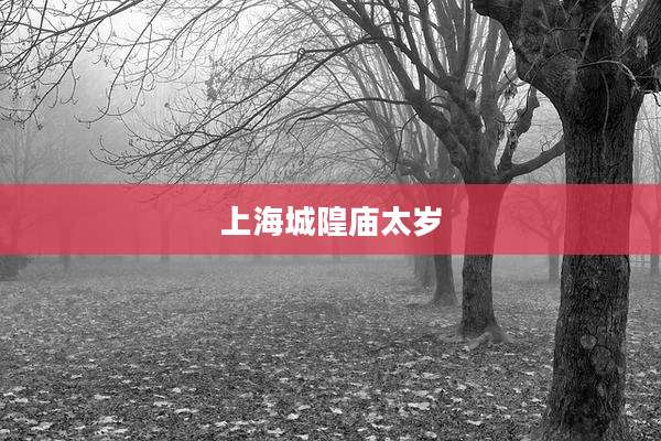 上海城隍庙太岁
