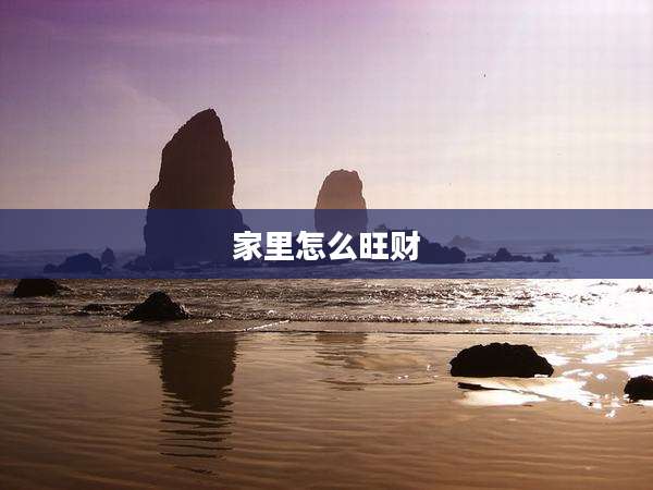家里怎么旺财