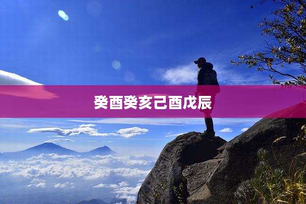 癸酉癸亥己酉戊辰