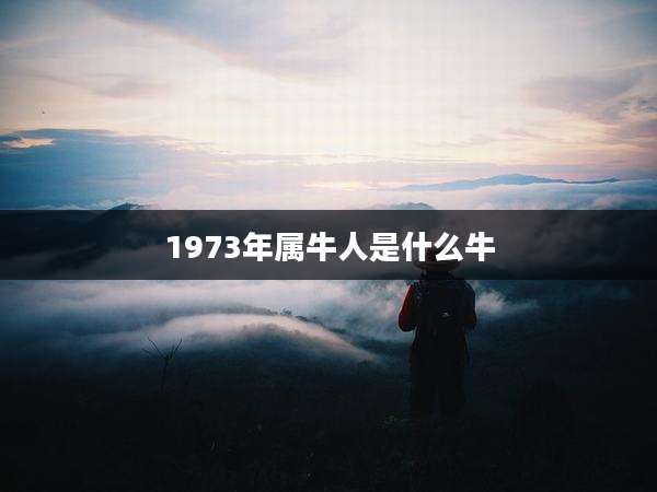 1973年属牛人是什么牛