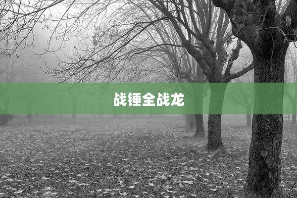战锤全战龙