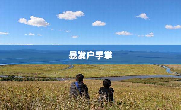 暴发户手掌