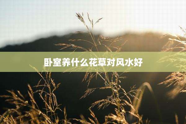 卧室养什么花草对风水好