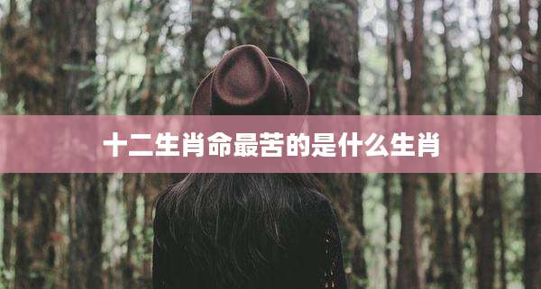 十二生肖命最苦的是什么生肖