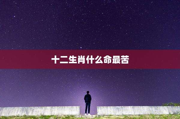 十二生肖什么命最苦
