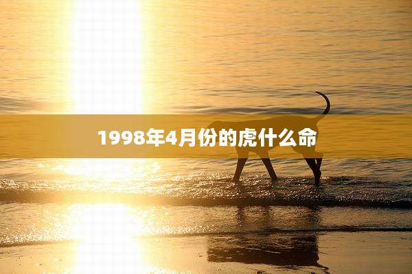 1998年4月份的虎什么命