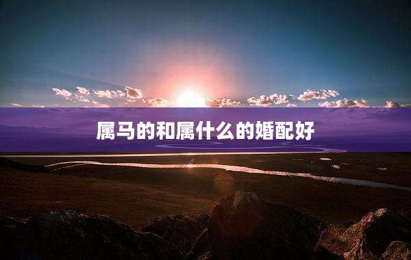 属马的和属什么的婚配好