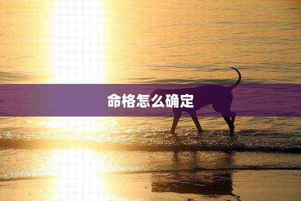 命格怎么确定