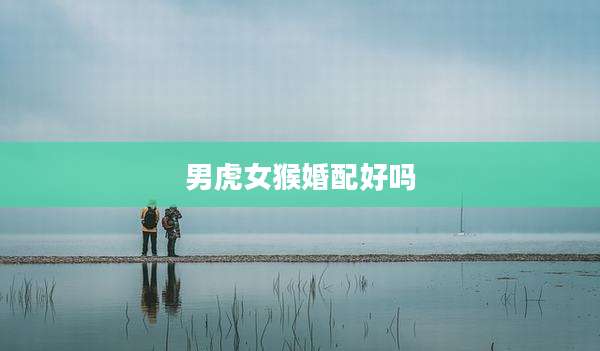 男虎女猴婚配好吗