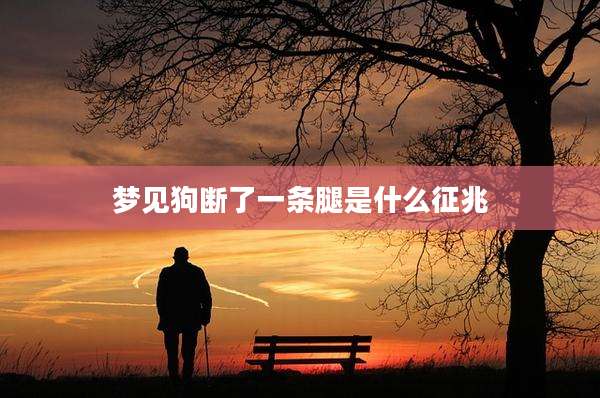 梦见狗断了一条腿是什么征兆