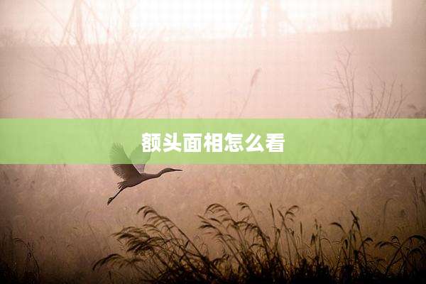额头面相怎么看