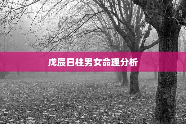 戊辰日柱男女命理分析
