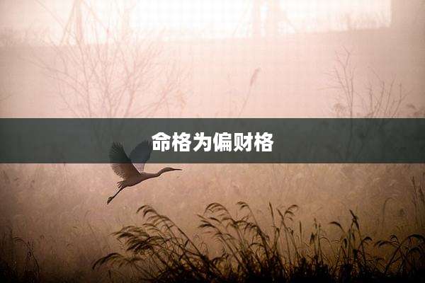 命格为偏财格