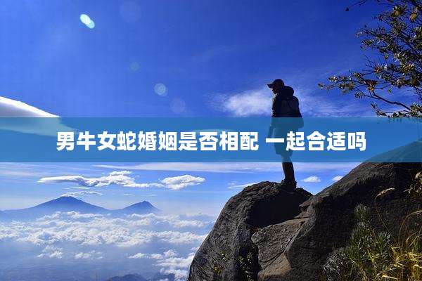 男牛女蛇婚姻是否相配 一起合适吗
