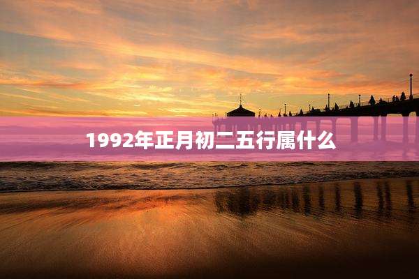 1992年正月初二五行属什么