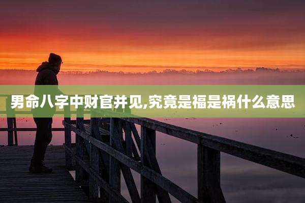 男命八字中财官并见,究竟是福是祸什么意思