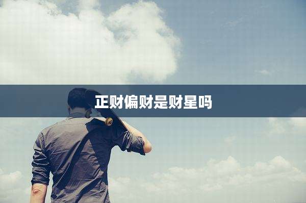 正财偏财是财星吗
