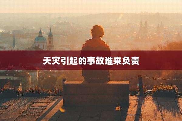 天灾引起的事故谁来负责
