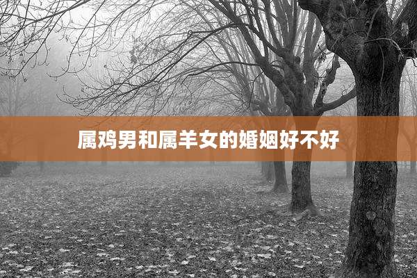 属鸡男和属羊女的婚姻好不好