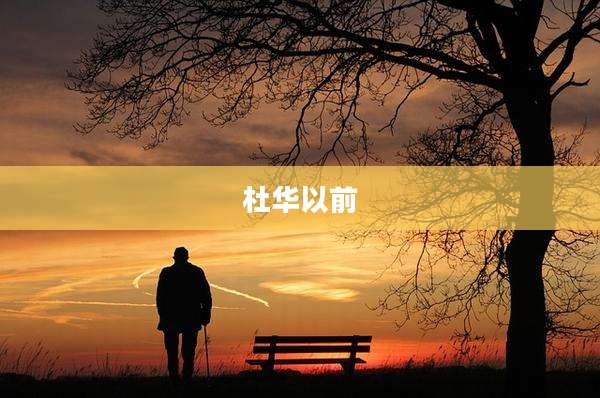 杜华以前