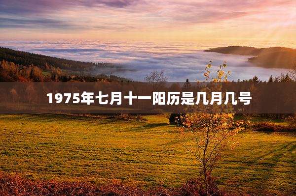 1975年七月十一阳历是几月几号